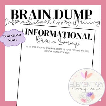 Essay Brain Dump Graphic Organizer