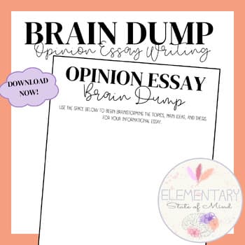 Opinion Essay Brain Dump Graphic Organizer